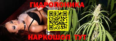 2c-b Мариинск