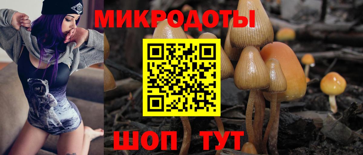 Гай  Галлюциногенные грибы MAGIC MUSHROOMS  дарнет шоп  Вход с VPN 