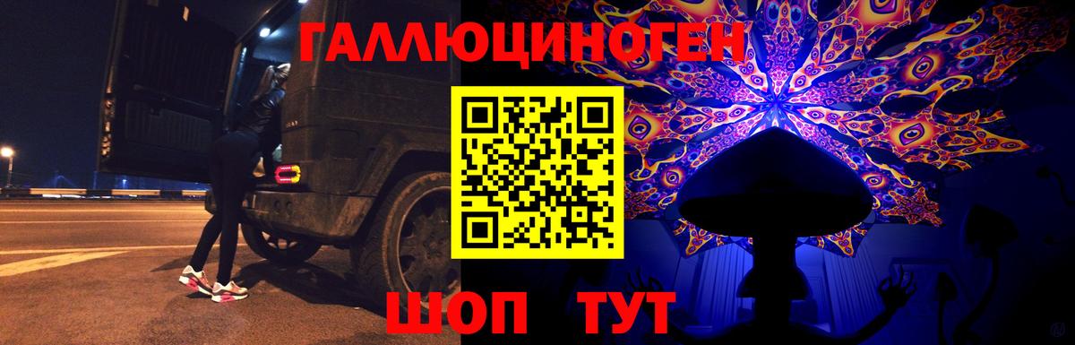 Галлюциногенные грибы Psilocybe Гай